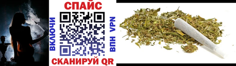 Купить где  Гдов  Бутират буратино 