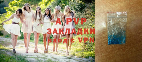 ГАЛЛЮЦИНОГЕННЫЕ ГРИБЫ Бородино