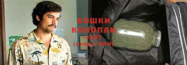 гидра Бронницы
