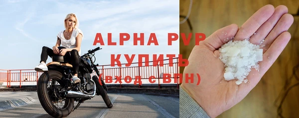 ГАЛЛЮЦИНОГЕННЫЕ ГРИБЫ Бородино