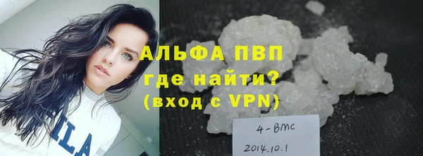 ГАЛЛЮЦИНОГЕННЫЕ ГРИБЫ Бородино