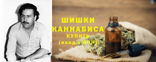 ГАЛЛЮЦИНОГЕННЫЕ ГРИБЫ Бородино