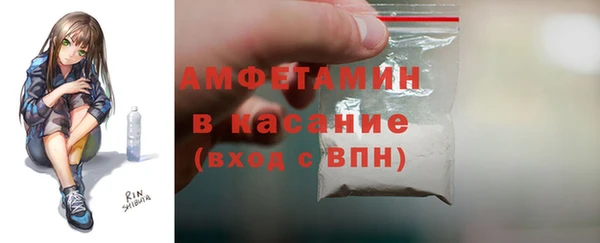 ГАЛЛЮЦИНОГЕННЫЕ ГРИБЫ Бородино