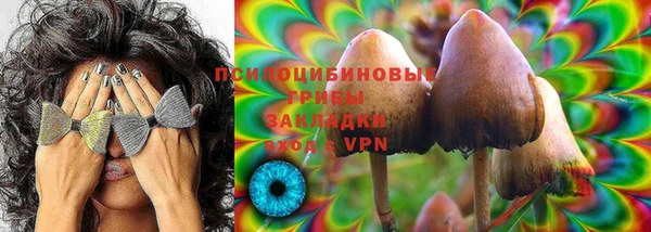 ГАЛЛЮЦИНОГЕННЫЕ ГРИБЫ Бородино