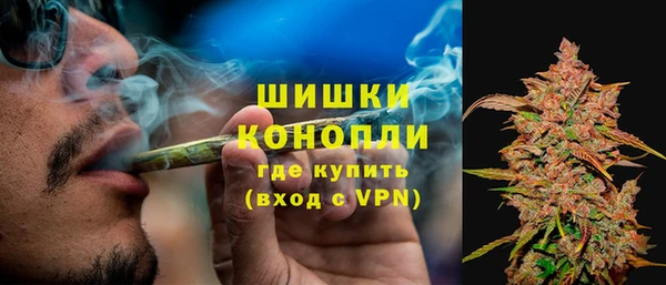ГАЛЛЮЦИНОГЕННЫЕ ГРИБЫ Бородино