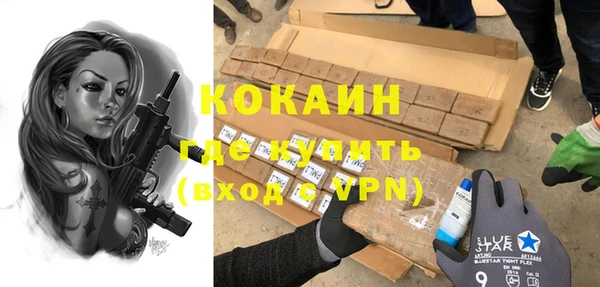 ГАЛЛЮЦИНОГЕННЫЕ ГРИБЫ Бородино