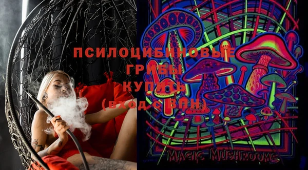 амф Бугульма