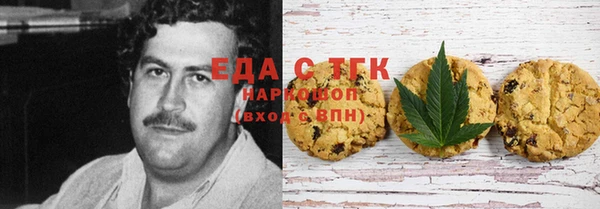 ГАЛЛЮЦИНОГЕННЫЕ ГРИБЫ Бородино