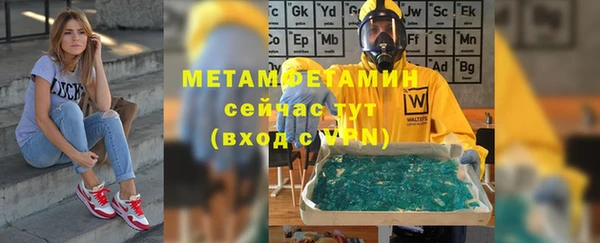 гидра Бронницы